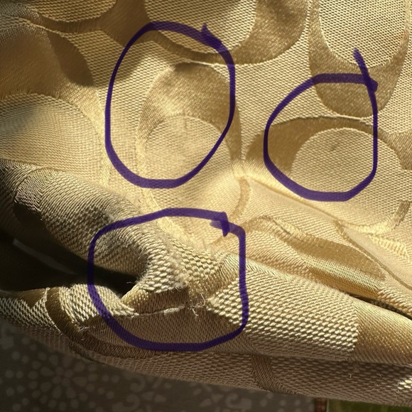 Price is firm- Coach C1060-F15067 - Picture 8 of 16